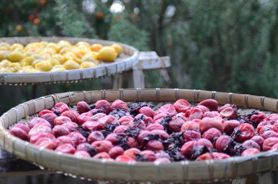 Salted plums drying on a bamboo tray